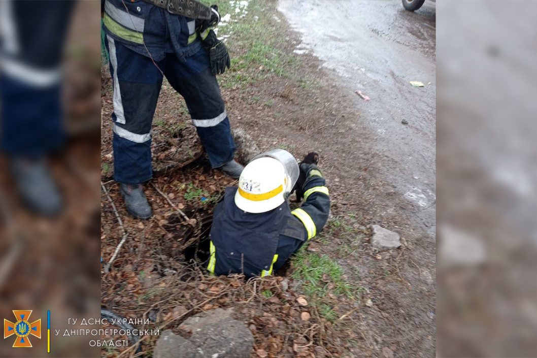 В Новомосковске спасатели достали щенка из заброшенного коллектора - рис. 2