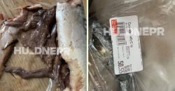 В одном из супермаркетов Днепра продают рыбу с глистами (Фото) - рис. 5