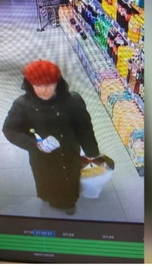 Питомец погибшей женщины: в Днепре посреди улицы нашли переноску с кошкой - рис. 3