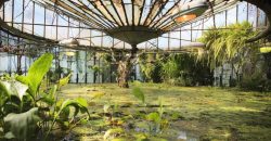В феврале ботанический сад Днепра будет работать бесплатно - рис. 5