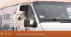 Лохматый «штурман» из Кривого Рога стал звездой социальных сетей (Видео) - рис. 7