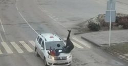 На Днепропетровщине таксист на «зебре» сбил женщину с ребенком (Видео) - рис. 7
