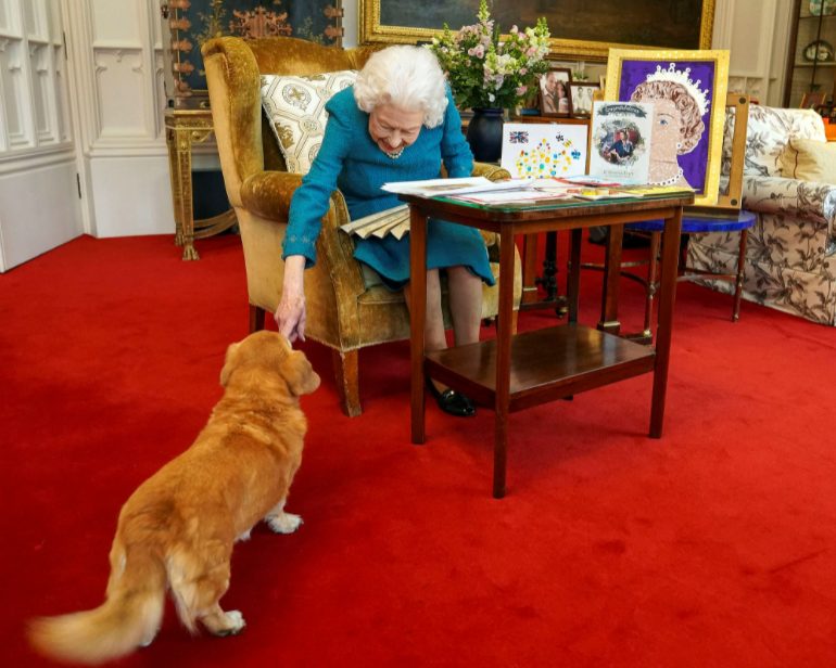 Королева Елизавета II выпустила парфюм для собак - рис. 1