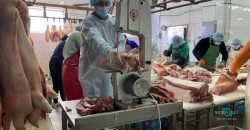 Предприятие KSG Agro поставляет мясо военным и в больницы Днепропетровщины - рис. 12