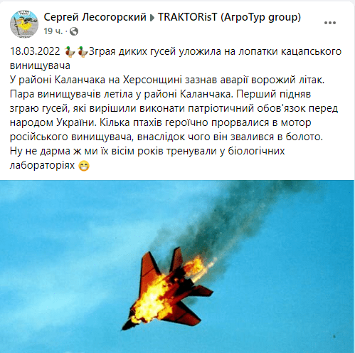 Дикие гуси сбили вражеский истребитель в небе над Херсонской областью - рис. 1