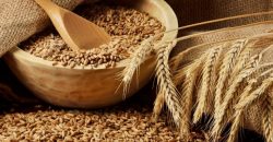 Скоро почувствует весь мир: Украина приостановила экспорт важных продуктов питания - рис. 10