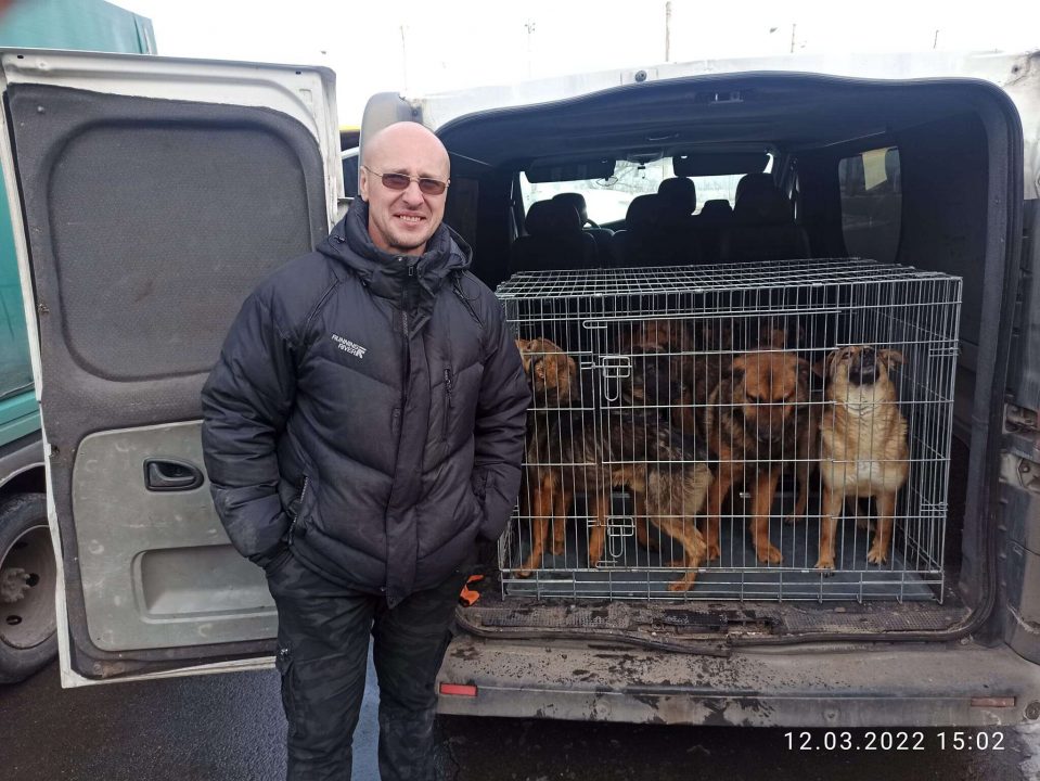 Днепряне спасли 188 голодающих животных из харьковского приюта - рис. 2