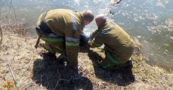 В Днепропетровской области из водоема достали тело женщины - рис. 6