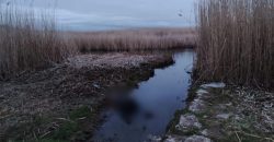 Забили камнем до смерти: в Новомосковске нашли тело мужчины - рис. 5