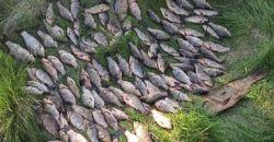 Ущерб 118 000 гривен: на Днепропетровщине задержали рыбаков-нарушителей - рис. 7