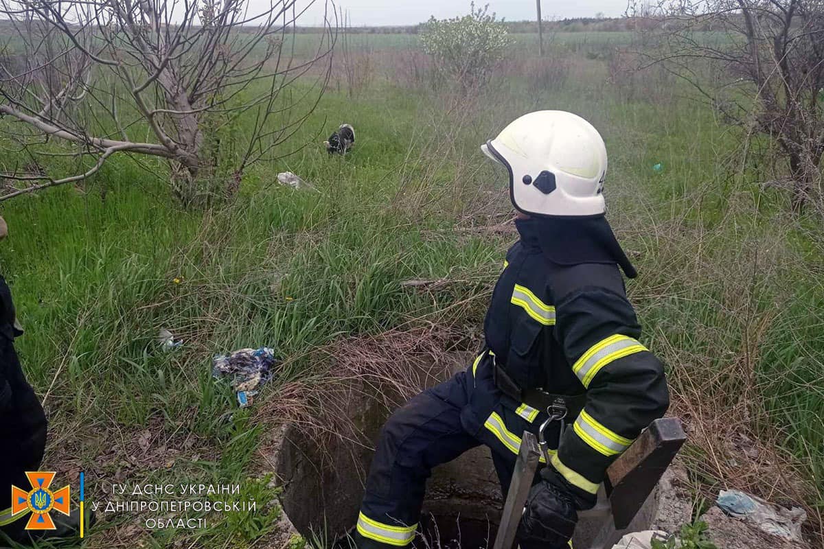 На Днепропетровщине спасатели вытащили собаку из колодца - рис. 2