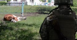 Бойцы днепровской 93-й ОМБР показали освобождённые села Харьковщины - рис. 12