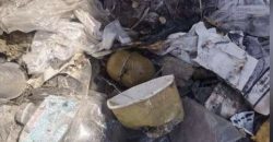 В Днепре на автовокзале в мусоре нашли гранату - рис. 12