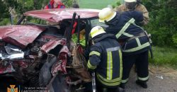 В Днепропетровской области произошло ДТП: пострадавших вырезали из машины - рис. 2