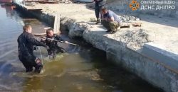 В Днепре спасли щенков, упавших в реку (Видео) - рис. 1