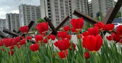 Цветочный флешмоб: Геннадий Корбан запустил тюльпанный челлендж в Днепре (Фото) - рис. 6