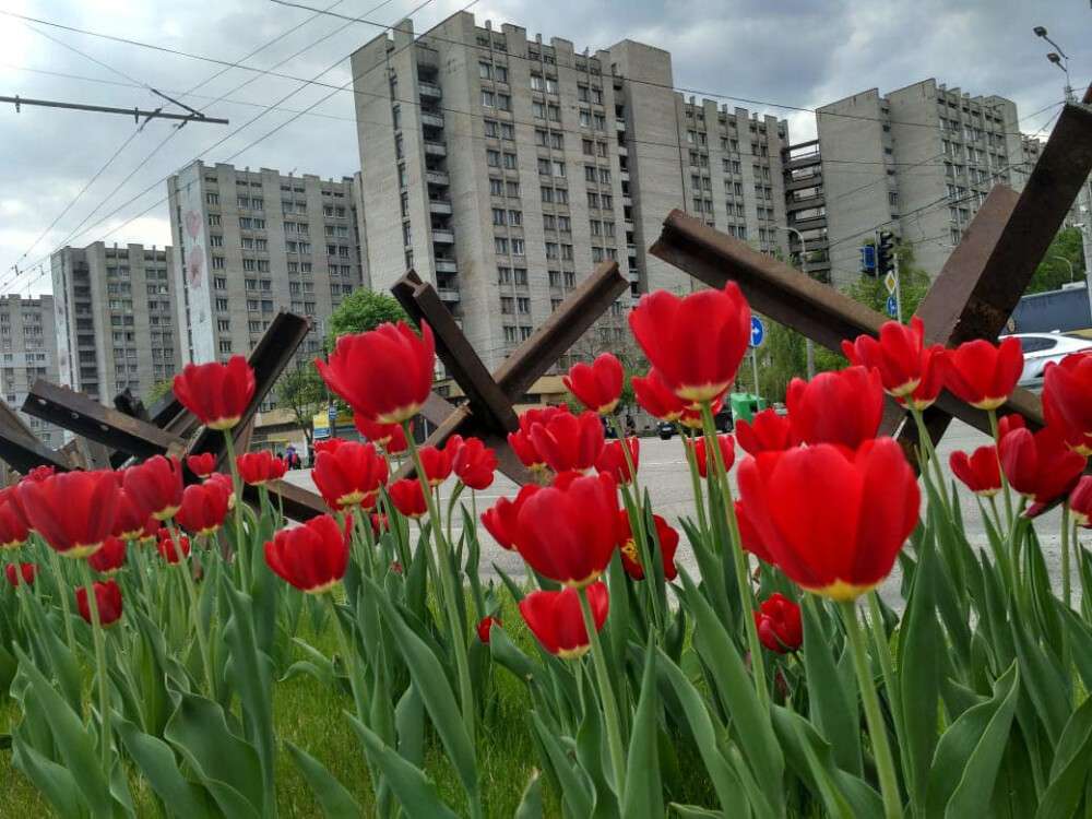 Цветочный флешмоб: Геннадий Корбан запустил тюльпанный челлендж в Днепре (Фото) - рис. 1