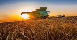 Дніпропетровська область отримала сільськогосподарську продукцію від ООН - рис. 7