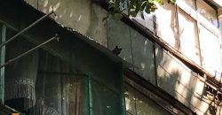 В Никополе спасатели пришли на помощь коту, застрявшему на козырьке балкона - рис. 4