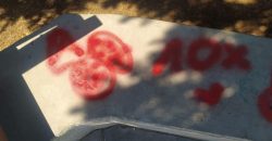 В Днепре вандалы обрисовали сквер матерными словами и фаллическими символами - рис. 2