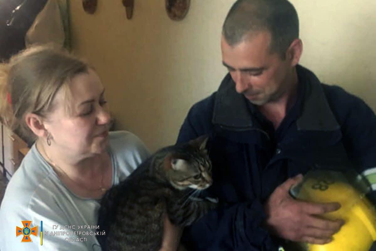 В Никополе спасатели пришли на помощь коту, застрявшему на козырьке балкона - рис. 2