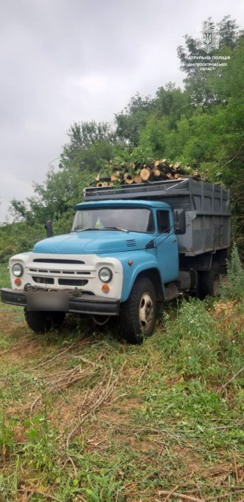 В Днепропетровской области патрульные остановили незаконную вырубку деревьев - рис. 1
