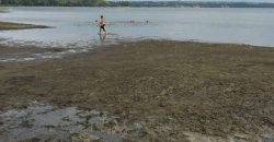 На Набережной резко снизился уровень воды: комментарий заммэра Днепра - рис. 17