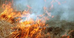 Цієї весни на Дніпропетровщині сталося майже 1700 пожеж в екосистемах - рис. 22