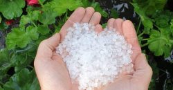 В Каменском районе Днепропетровщины ливень с градом побил огороды местных жителей - рис. 3