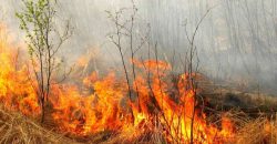 На Днепропетровщине из-за жары объявлена чрезвычайная пожарная опасность - рис. 6