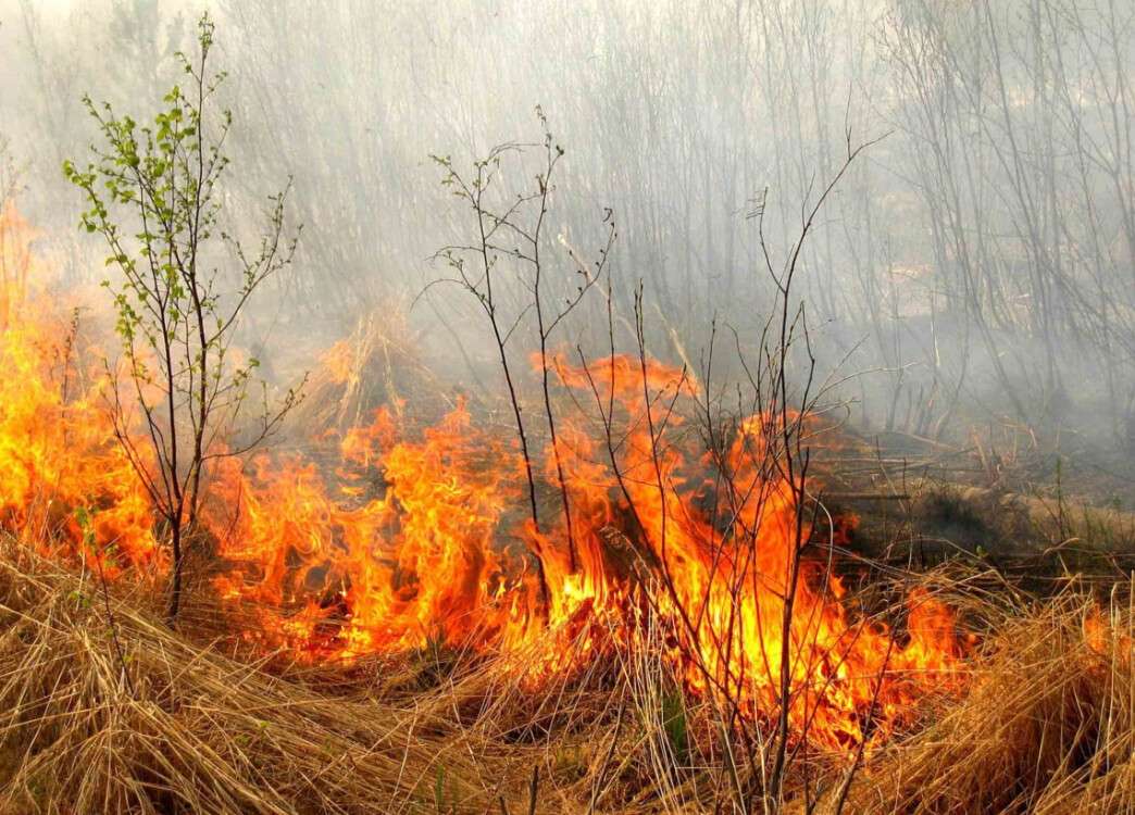 На Днепропетровщине из-за жары объявлена чрезвычайная пожарная опасность - рис. 2