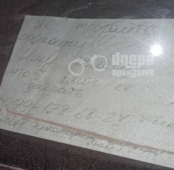 В Днепре с автомобиля защитника Украины неизвестные украли колеса (Фото) - рис. 5