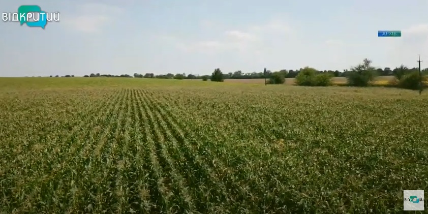 Сельскохозяйственный плацдарм: как аграрии Днепропетровщины преодолевают вызовы войны - рис. 1
