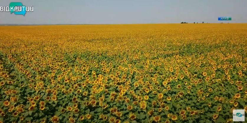 Сельскохозяйственный плацдарм: как аграрии Днепропетровщины преодолевают вызовы войны - рис. 3