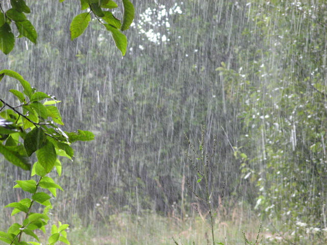 В Днепр и область идёт дождевой фронт: подробности - рис. 1
