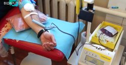Кровь ради жизни: как донорство спасает военных и гражданских - рис. 1