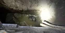 Днепровские спасатели помогли собаке, упавшей в глубокую яму - рис. 11