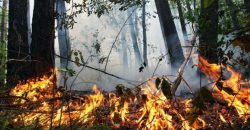 В Днепропетровской области объявили высший уровень пожарной опасности - рис. 1