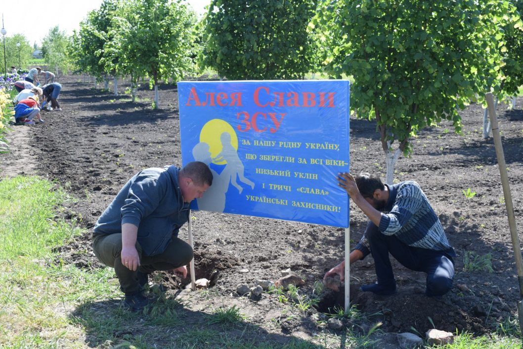 В Днепропетровской области начали высаживать Аллеи героев - рис. 2