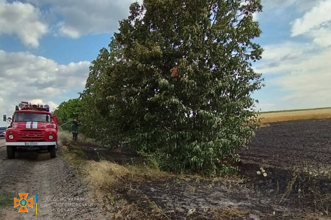 В Днепропетровской области ликвидировали возгорание на поле с пшеницей - рис. 3