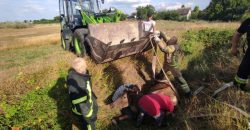 На Днепропетровщине корова попала в ловушку (фото) - рис. 12