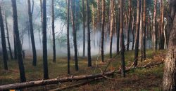 В Днепровском районе произошел лесной пожар - рис. 1