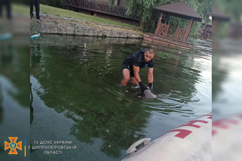 В Днепре на Набережной Победы утонул мужчина - рис. 1
