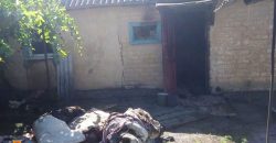 В Днепропетровской области во время пожара погибла пенсионерка - рис. 21