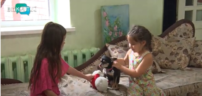 В днепровском шелтере дают приют даже переселенцам с животными (Видео) - рис. 1