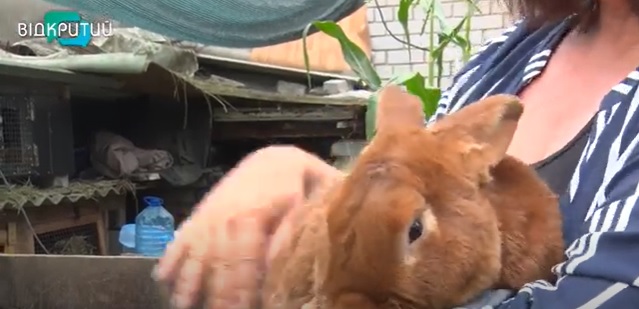 В днепровском шелтере дают приют даже переселенцам с животными (Видео) - рис. 5