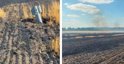 Окупанти на Дніпропетровщині пошкодили склади з трьома тонами зерна, просом та соняшником, - Лукашук - рис. 6