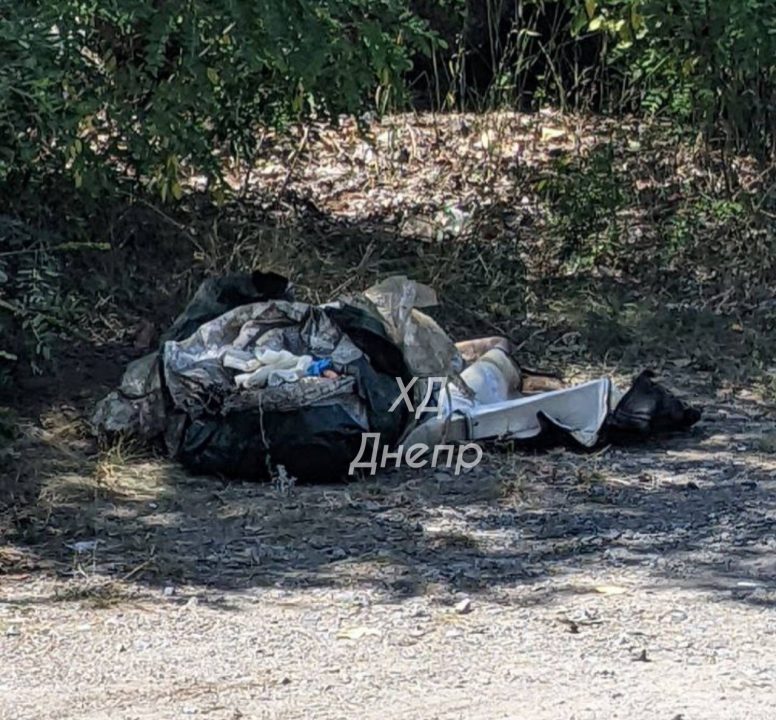 Расчлененный труп женщины нашли в пригороде Улан-Удэ [ФОТО 18+]