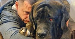 Хромой и бесстрашный: мэр Днепра Филатов показал свою новую собаку - рис. 12