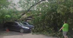 Непогода в Днепре: в городе - десятки поваленных деревьев (Фото, видео) - рис. 4